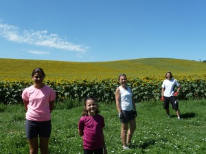 Paysage Microsoftien