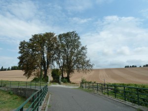 Photo insolite trouvée par Mila: portail qui ne sert à rien