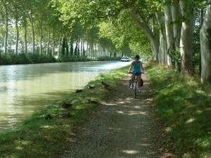 Des canards en train de dormir qui ne bougent même quand nous sommes passés. Il y en avait une cinquantaine.