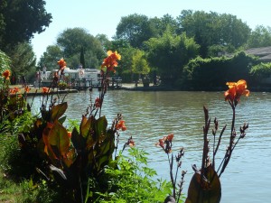 La végétation change