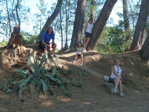 ... et des cactus et autres plantes grasses font leur apparition.