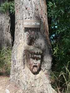 L'insolite du jour à l'écluse de l'Aiguille à Puichéric. celle-ci comporte de nombreuses sculptures de Joël Barthez (Eclusier)