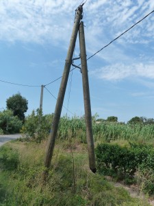 Insolite du jour, les pieds de poteaux sont attaqués par une espèce mystérieuse.